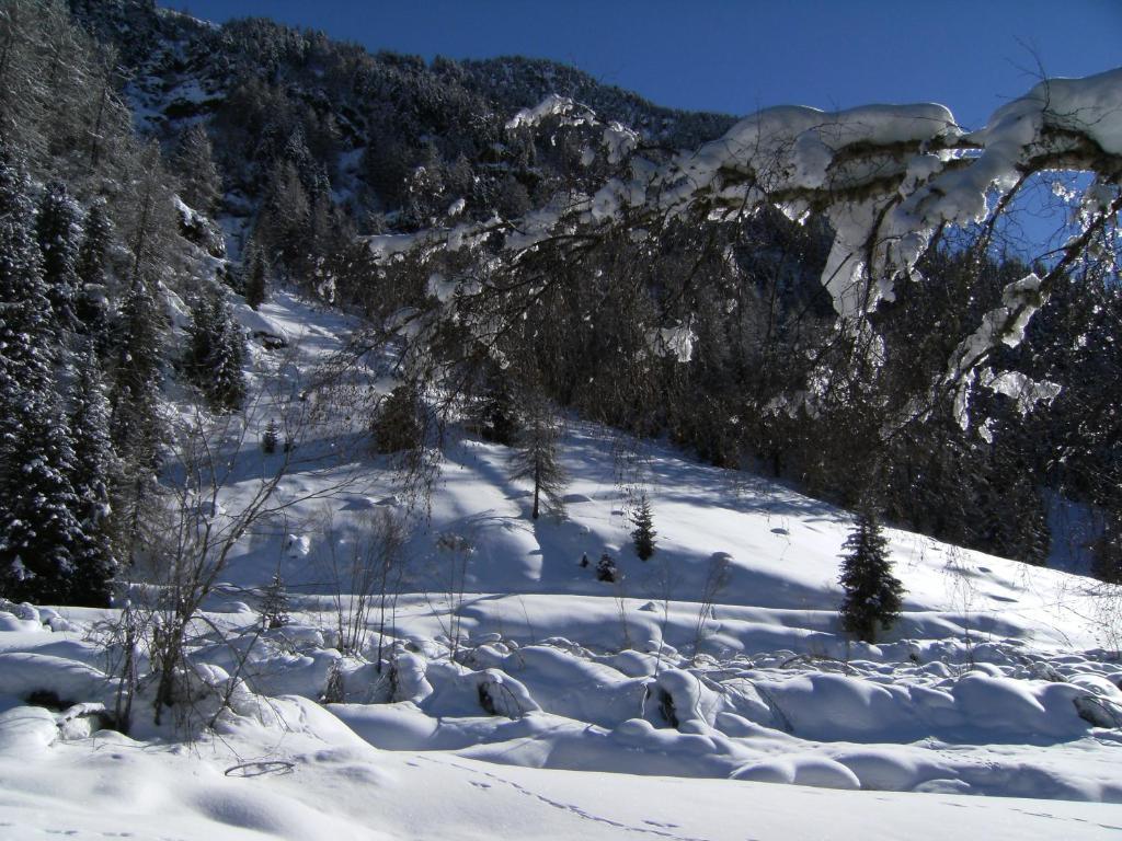 Albergo Thurwieser Santa Caterina Valfurva Buitenkant foto
