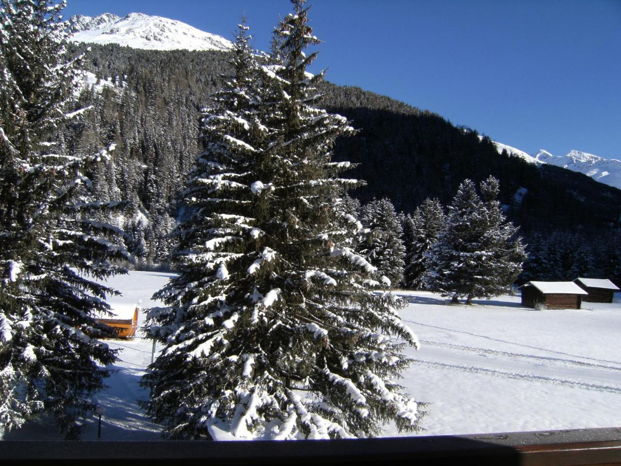 Albergo Thurwieser Santa Caterina Valfurva Buitenkant foto